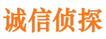 岳麓市婚外情调查